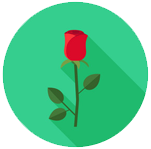 آنیلا شیری