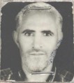 اکبر شاه رضائی