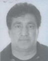 جاوید خالقی