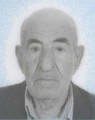 محمدعلی تیموری