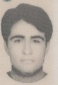 وحید صفری