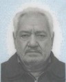 اسگندر برزگرخورده بلاغ