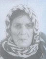 طاوس هاشمی