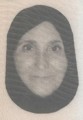 ارک ناز حدابنده